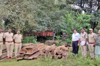 ಸಾಗರ: ಅಕ್ರಮ ದಾಸ್ತಾನು ಮಾಡಿದ್ದ ಲಕ್ಷಾಂತರ ಮೌಲ್ಯದ ಬೀಟೆ ಮರ ವಶಕ್ಕೆ