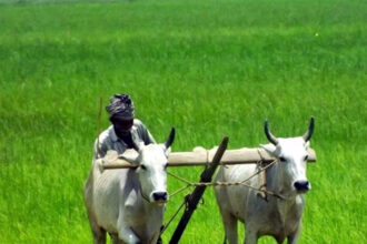 ಅನಾರೋಗ್ಯದಿಂದ ಬೇಸತ್ತು ಕೃಷಿಕ ಆತ್ಮಹತ್ಯೆ