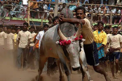 ಹೋರಿ ಹಬ್ಬ: 10 ಜನ ಆಸ್ಪತ್ರೆಗೆ ದಾಖಲು