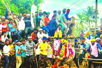 ಮೈ ನವಿರೇಳಿಸಿದ ಕುಪ್ಪಗಡ್ಡೆ ಹೋರಿ ಸ್ಪರ್ಧೆ