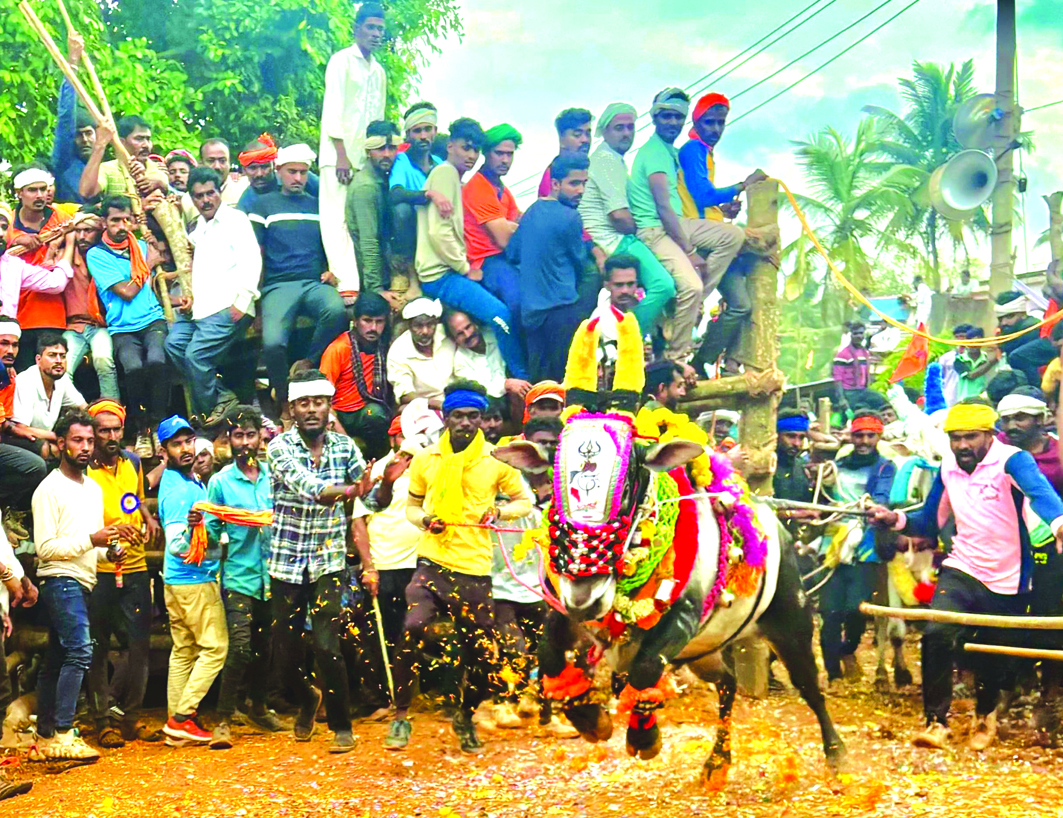 ಮೈ ನವಿರೇಳಿಸಿದ ಕುಪ್ಪಗಡ್ಡೆ ಹೋರಿ ಸ್ಪರ್ಧೆ