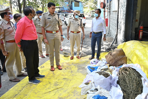 ವಶಪಡಿಸಿಕೊಂಡಿದ್ದ 56 ಕೆಜಿ ಗಾಂಜಾ ನಾಶಪಡಿಸಿದ ಪೊಲೀಸ್ ಇಲಾಖೆ
