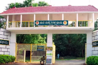 ಹುಲಿ-ಸಿಂಹಧಾಮ ಮಂಗಳವಾರ ವೀಕ್ಷಣೆಗೆ ಲಭ್ಯ