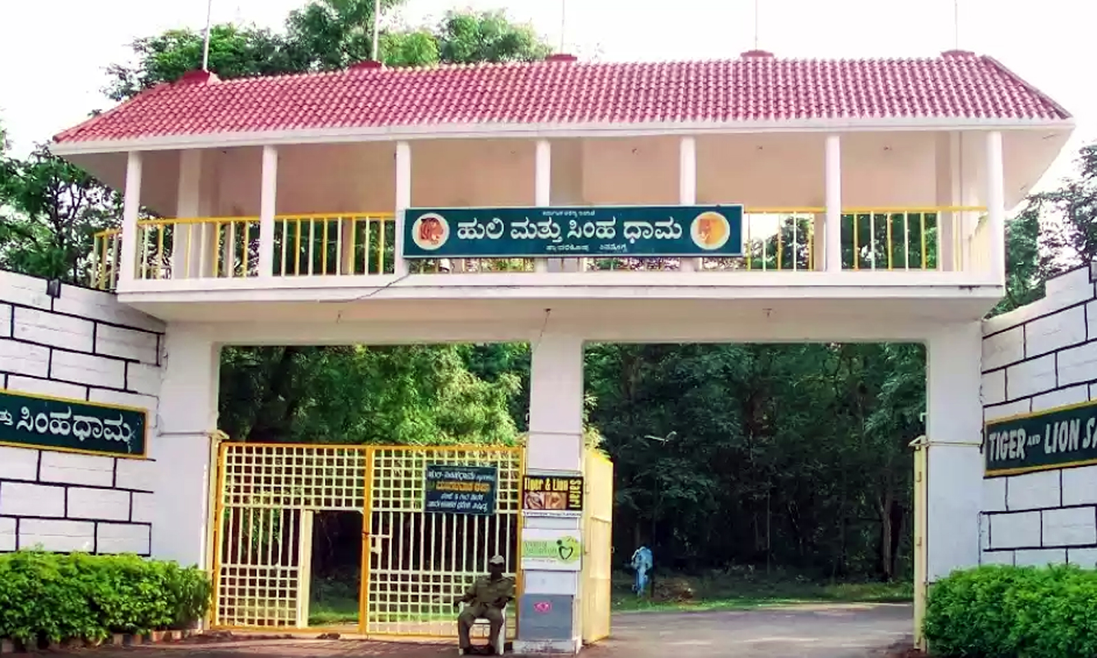 ಹುಲಿ-ಸಿಂಹಧಾಮ ಮಂಗಳವಾರ ವೀಕ್ಷಣೆಗೆ ಲಭ್ಯ ಹುಲಿ-ಸಿಂಹಧಾಮ ಮಂಗಳವಾರ ವೀಕ್ಷಣೆಗೆ ಲಭ್ಯ