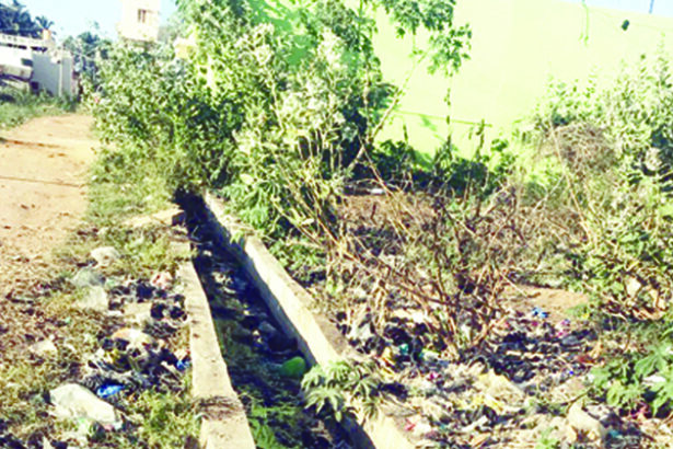 ಗಾಡಿಕೊಪ್ಪ: ಚರಂಡಿಗಳಲ್ಲಿ ಕಸಕಡ್ಡಿ, ದುರ್ನಾತ