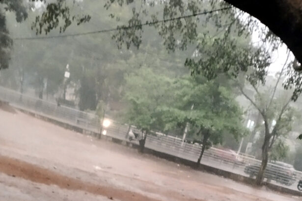 ಅಂತೂ ಶಿವಮೊಗ್ಗಕ್ಕೆ ತಂಪೆರೆದ ಮಳೆರಾಯ