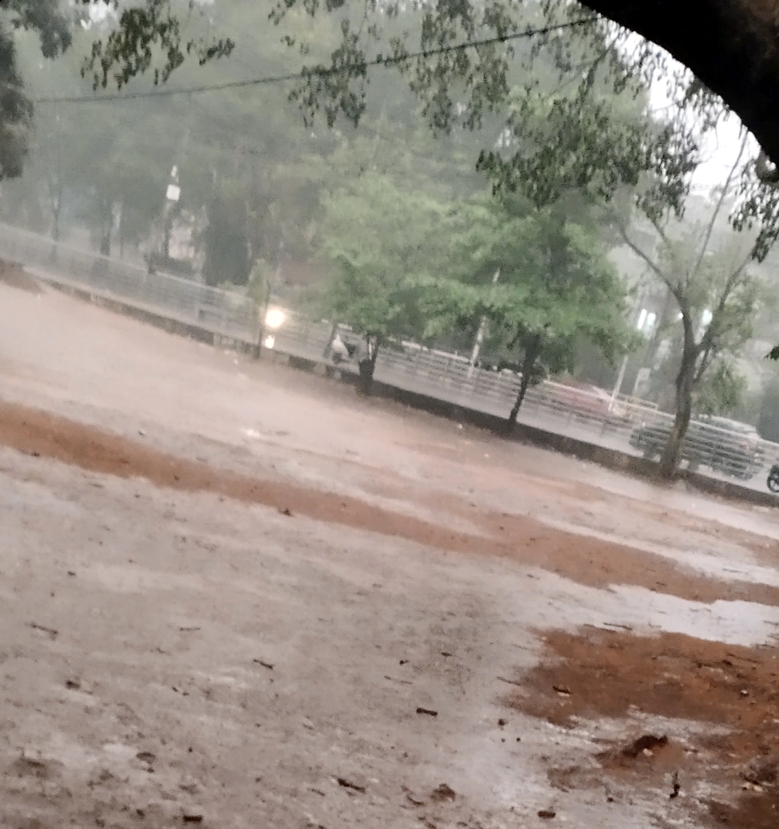 ಅಂತೂ ಶಿವಮೊಗ್ಗಕ್ಕೆ ತಂಪೆರೆದ ಮಳೆರಾಯ