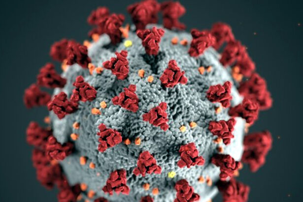 ಮೆಗ್ಗಾನ್‌ಗೆ ದಾಖಲಾದ ಪ್ರಪ್ರಥಮ ಕೊರೊನಾ ರೋಗಿ