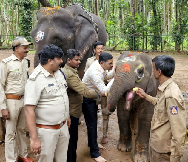 ಸಕ್ರೆಬೈಲಿನಲ್ಲಿ ಎರಡು ಮರಿಯಾನೆಗಳಿಗೆ ನಾಮಕರಣ*