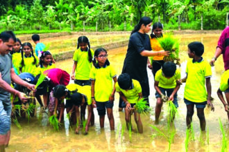 ಭತ್ತದ ಸಸಿ ನಾಟಿ ಮಾಡಿದ  ಶಾಲಾ ಮಕ್ಕಳು