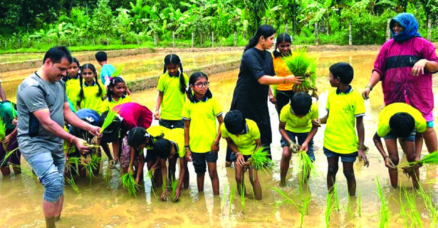 ಭತ್ತದ ಸಸಿ ನಾಟಿ ಮಾಡಿದ  ಶಾಲಾ ಮಕ್ಕಳು