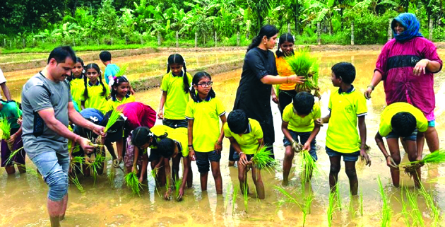 ಭತ್ತದ ಸಸಿ ನಾಟಿ ಮಾಡಿದ  ಶಾಲಾ ಮಕ್ಕಳು