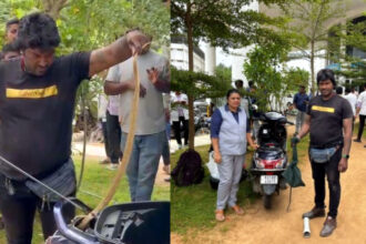 ಸ್ಕೂಟರ್‌ನಲ್ಲಿ ಸೇರಿಕೊಂಡಿದ್ದ ನಾಗರಹಾವು ರಕ್ಷಣೆ