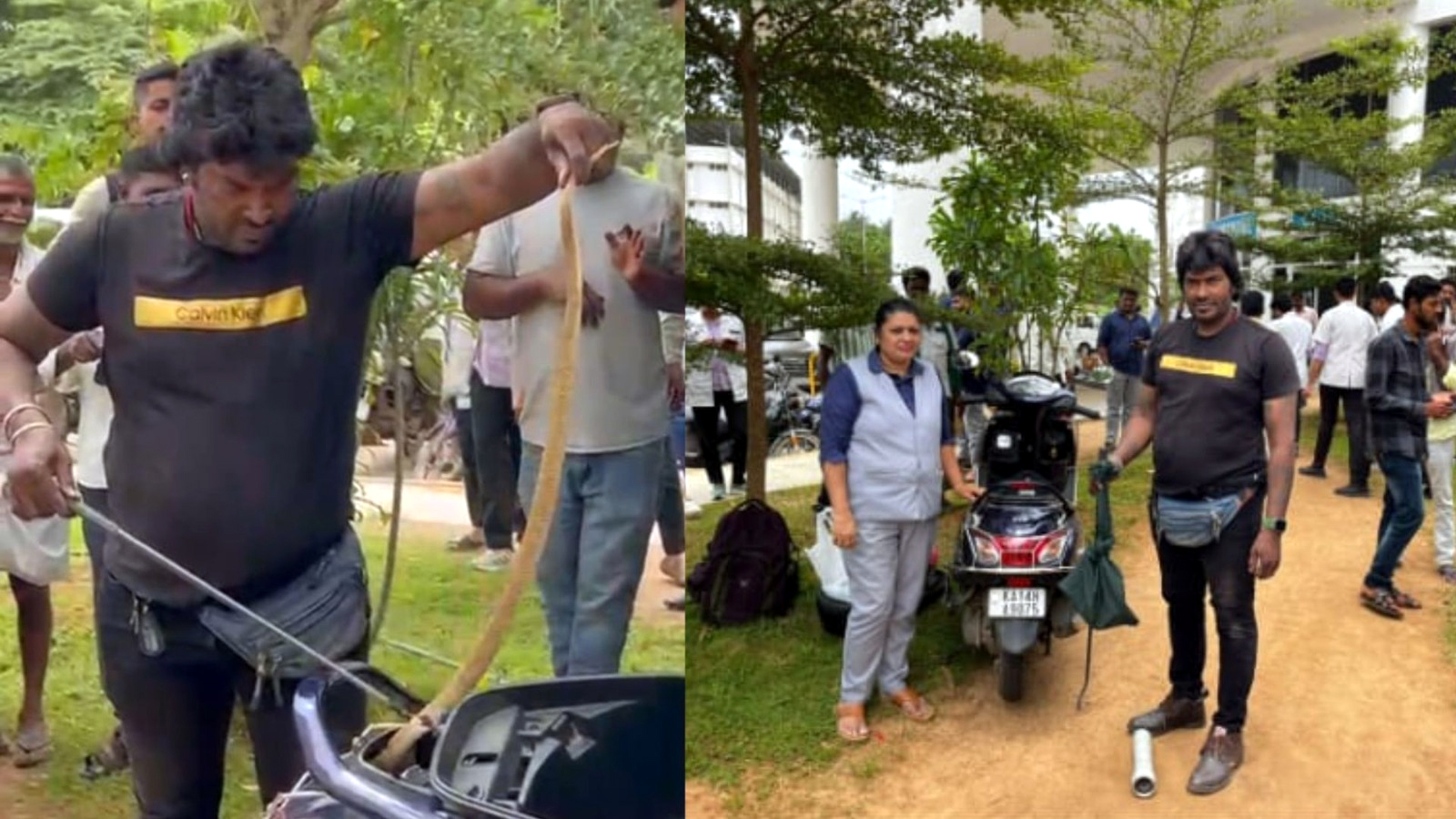 ಸ್ಕೂಟರ್‌ನಲ್ಲಿ ಸೇರಿಕೊಂಡಿದ್ದ ನಾಗರಹಾವು ರಕ್ಷಣೆ