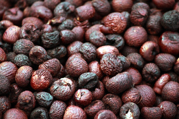 ಗೋಡೌನ್‌ನ ಬೀಗ ಒಡೆದು 8 ಲಕ್ಷ ಮೌಲ್ಯದ ಅಡಿಕೆ ಕಳ್ಳತನ